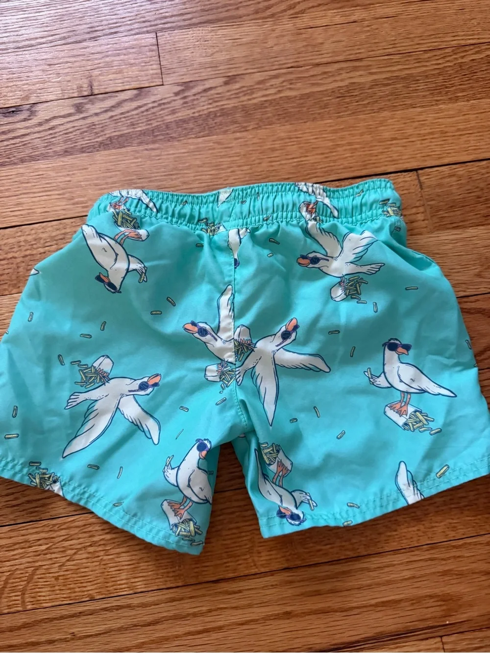 Cat & Jack Toddler Boy Seagull Bathing Suit Size 4T